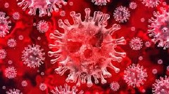 Latest COVID-19 Coronavirus Updates and Resources