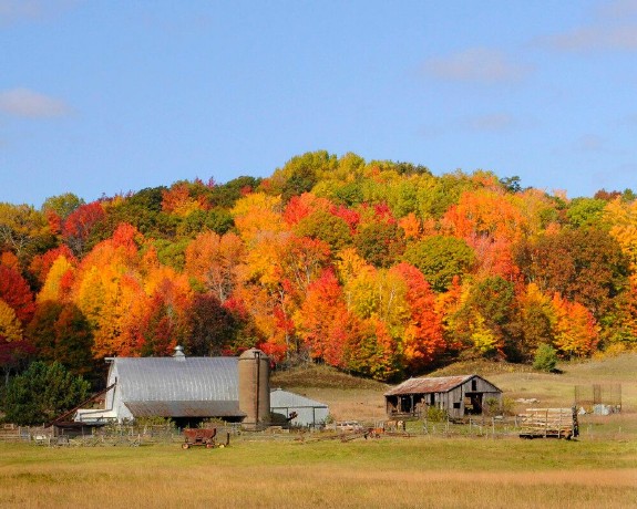 Florence County